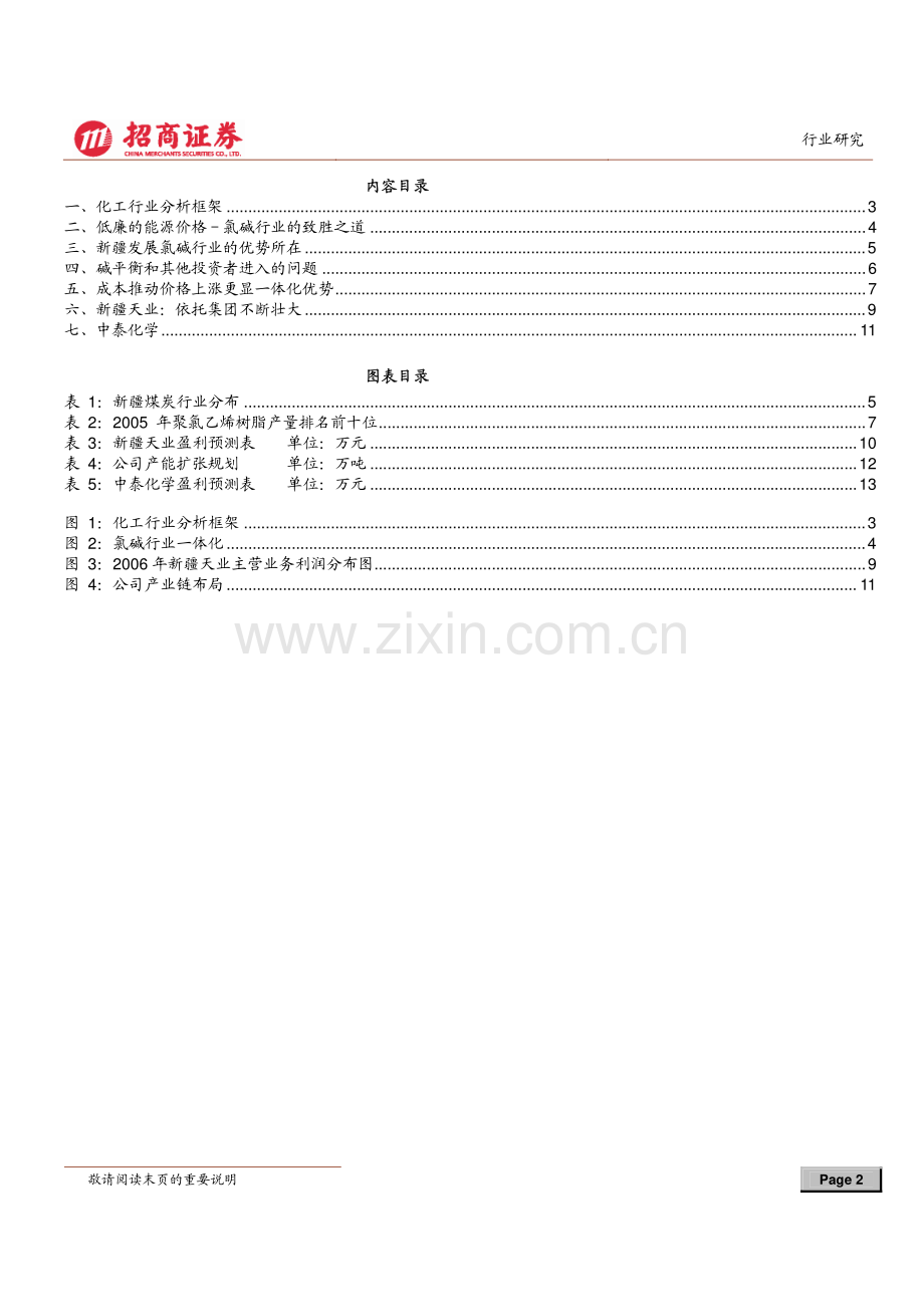 新疆氯碱行业调研报告.pdf_第2页