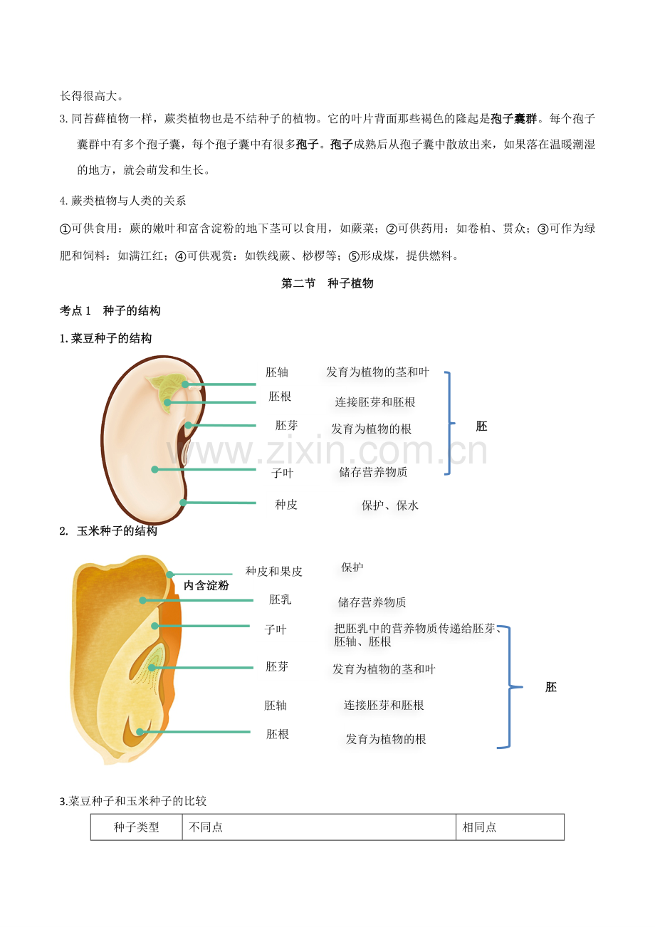 藻类与植物的类群【速记清单】(原卷版)-2024-2025学年山西专用七年级生物练习.pdf_第3页