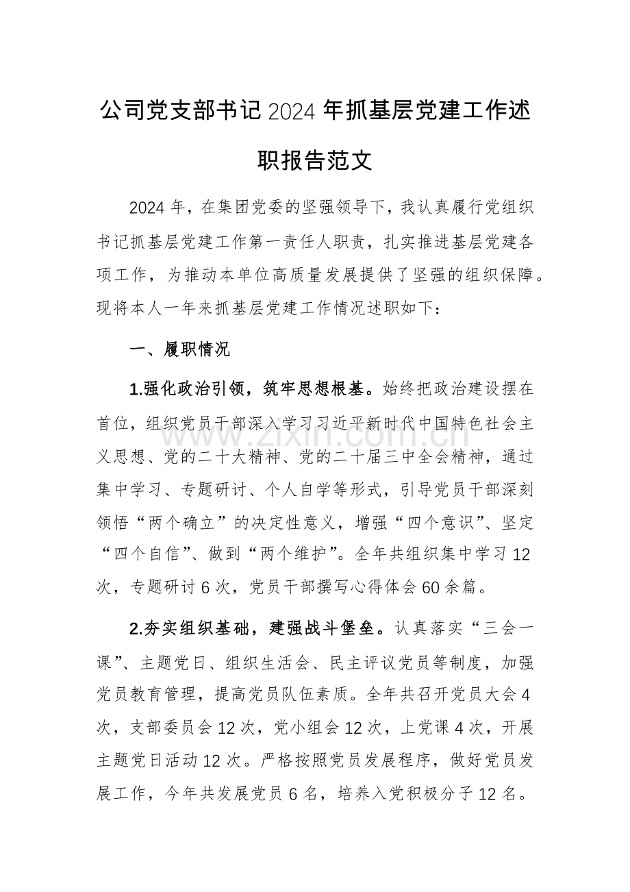 公司党支部书记2024年抓基层党建工作述职报告范文.docx_第1页