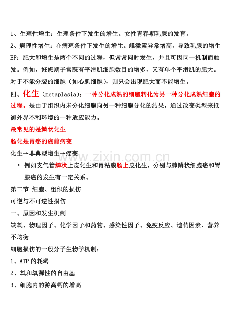 病理学笔记(重点已经勾出).pdf_第2页