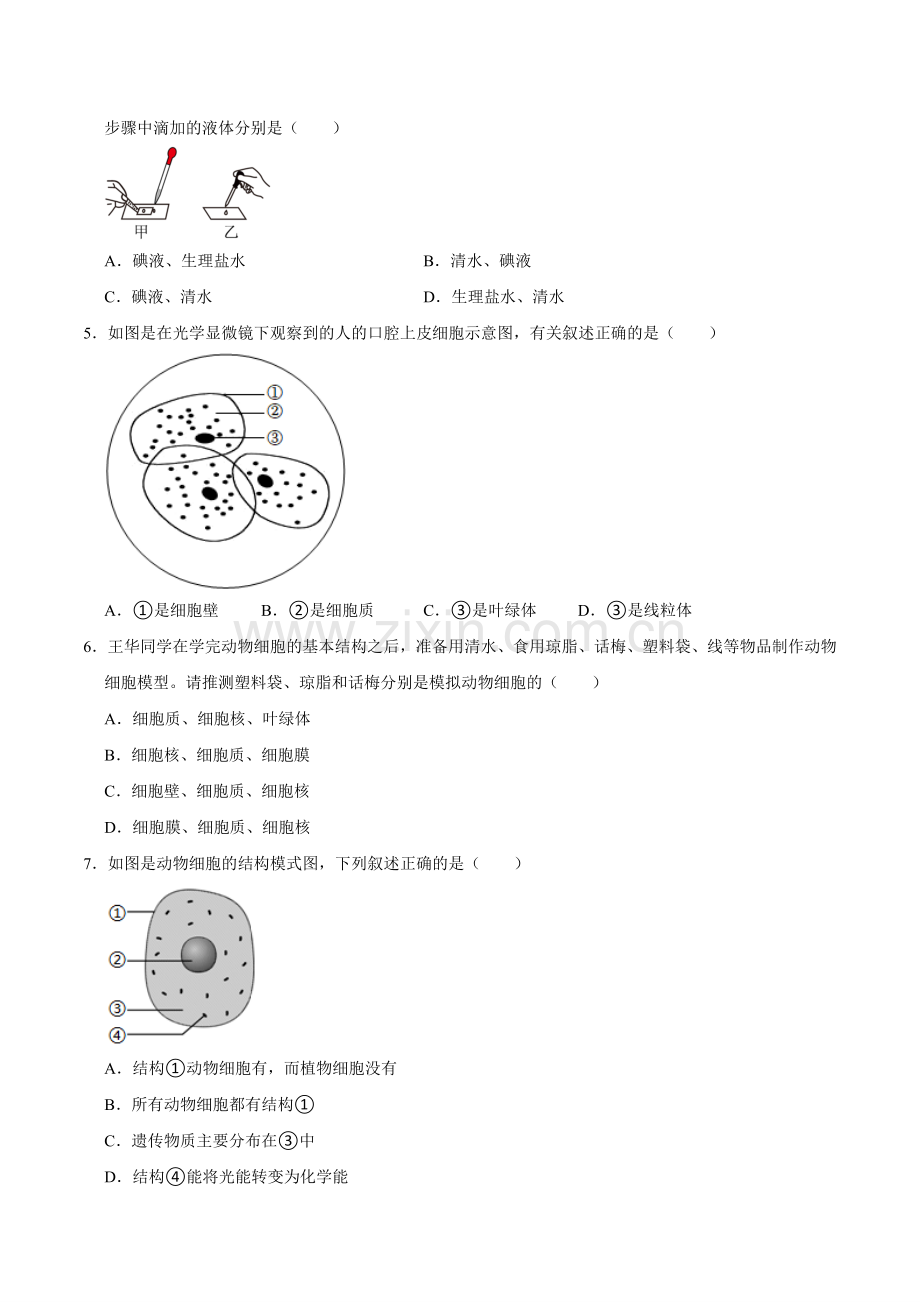 第二章--认识细胞【A卷提升卷】原版卷-2024-2025学年山西专用七年级生物练习.pdf_第2页