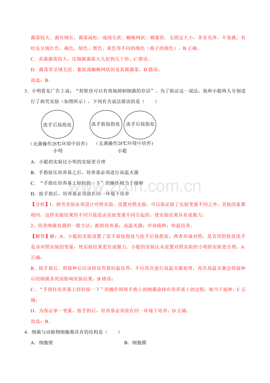 第三章--微生物【B卷-培优卷】解析卷-2024-2025学年山西专用七年级生物练习.pdf_第2页