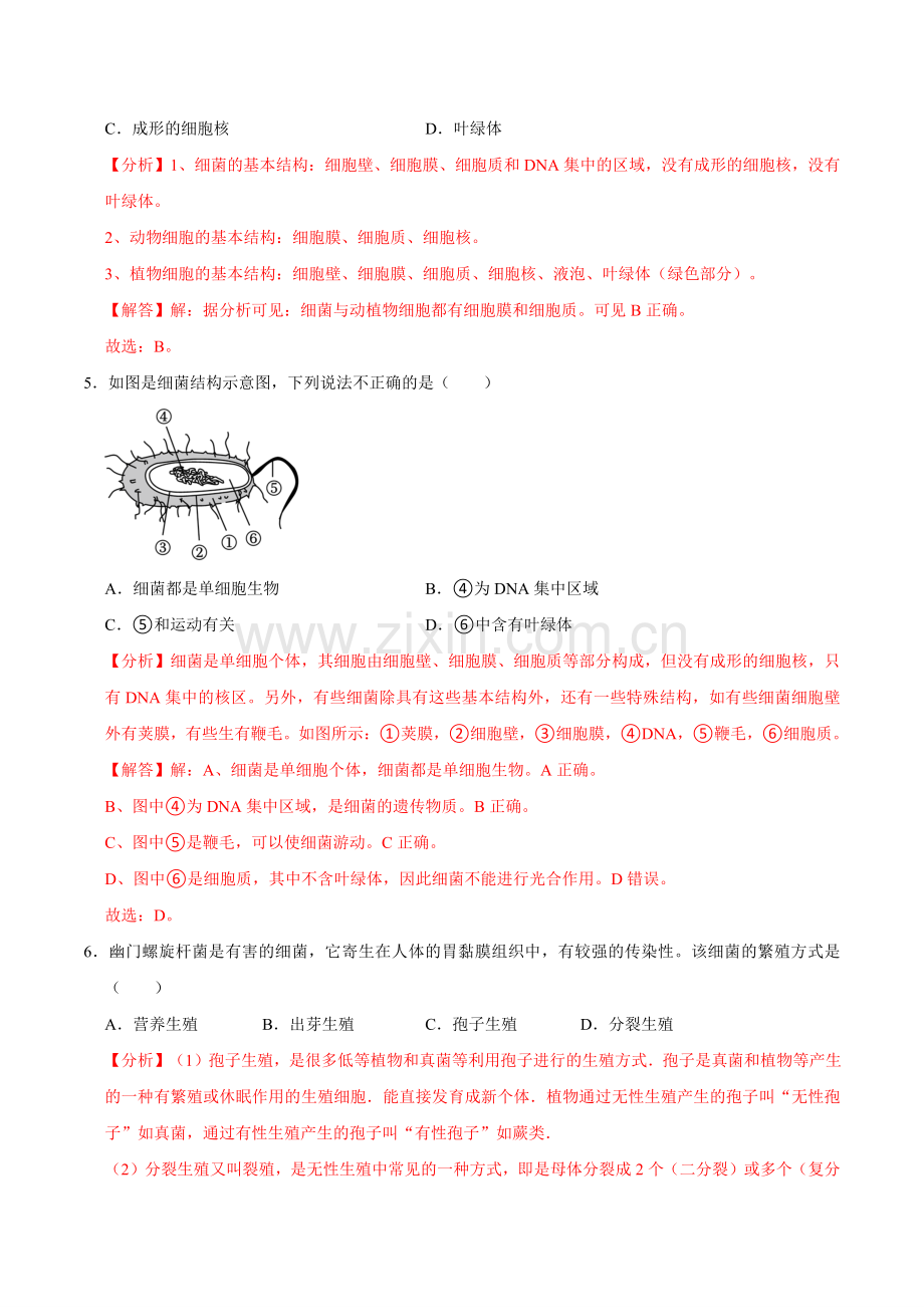 第三章--微生物【B卷-培优卷】解析卷-2024-2025学年山西专用七年级生物练习.pdf_第3页