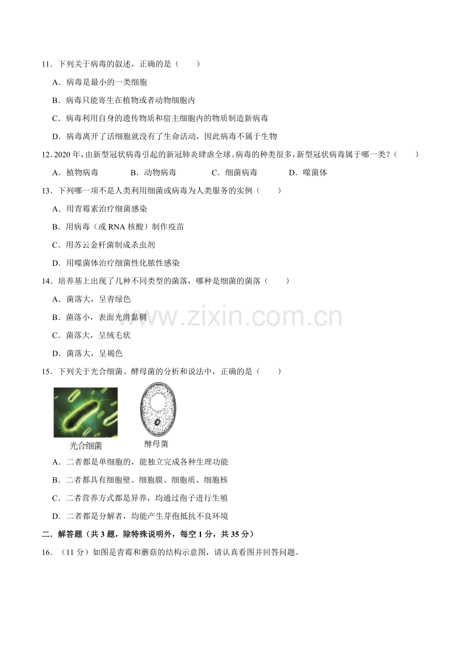 第三章--微生物【A卷-提升卷】原版卷-2024-2025学年山西专用七年级生物练习.pdf_第3页