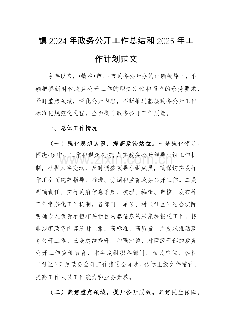 2024年政务公开工作总结和2025年工作计划范文.docx_第1页