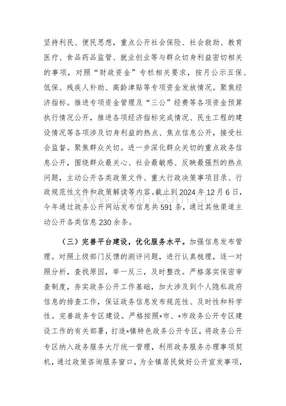 2024年政务公开工作总结和2025年工作计划范文.docx_第2页