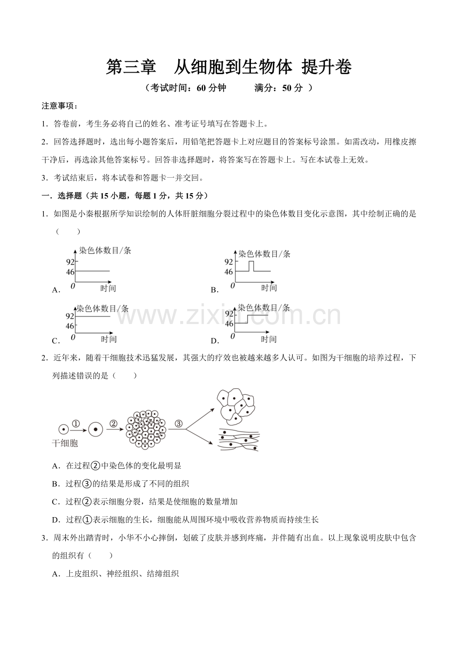 第三章--从细胞到生物体【A卷-提升卷】原版卷-2024-2025学年山西专用七年级生物练习.pdf_第1页