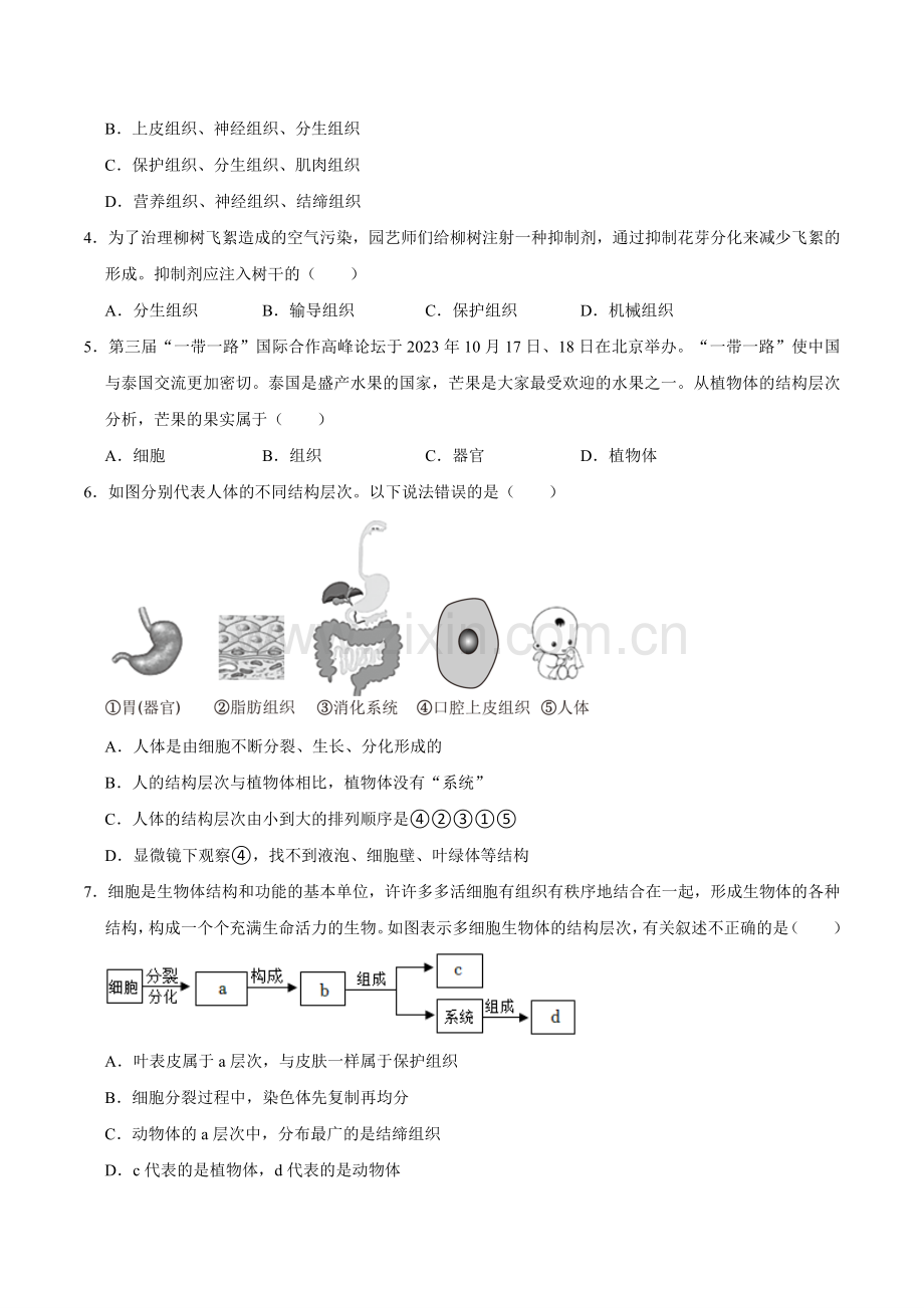 第三章--从细胞到生物体【A卷-提升卷】原版卷-2024-2025学年山西专用七年级生物练习.pdf_第2页