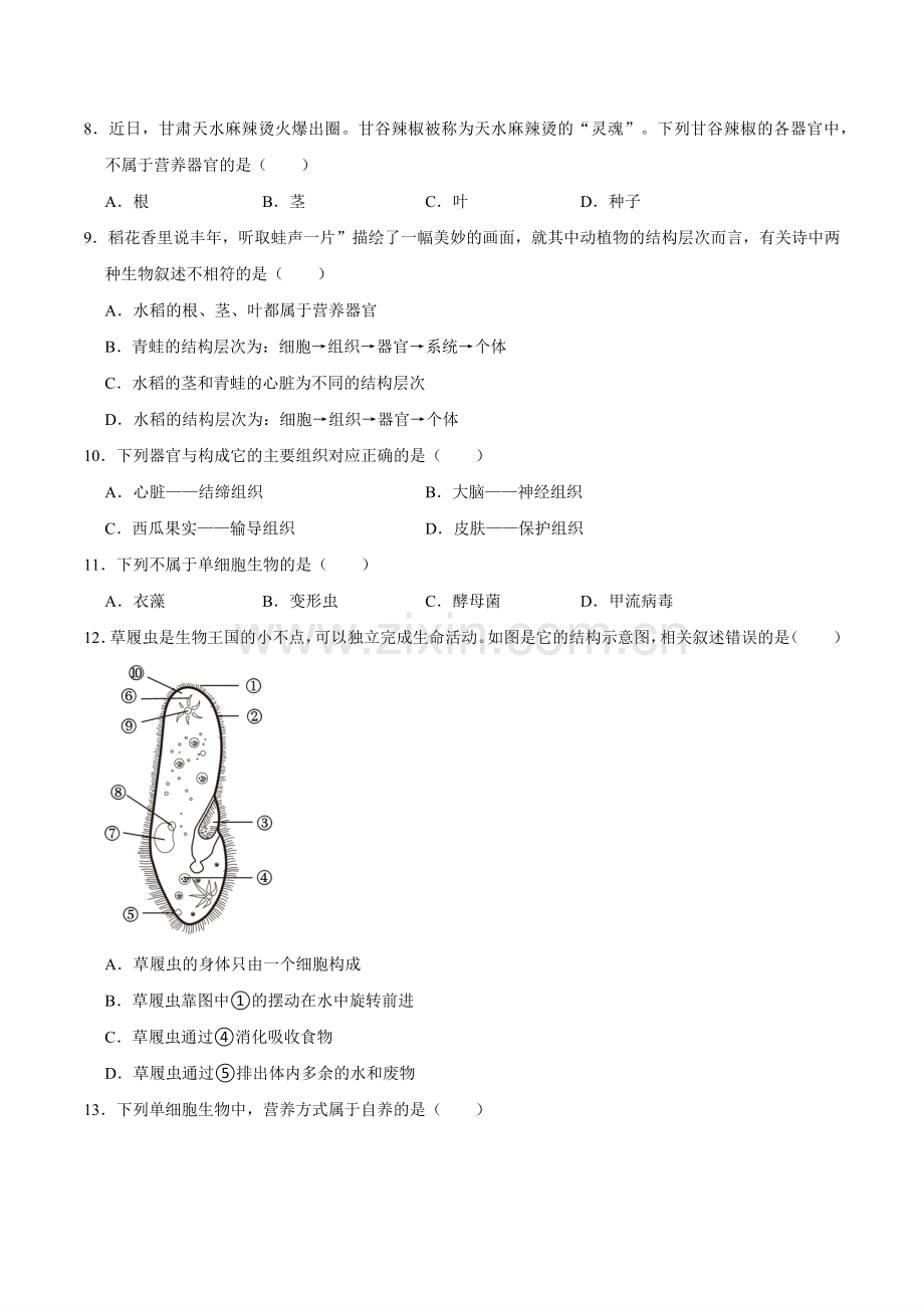 第三章--从细胞到生物体【A卷-提升卷】原版卷-2024-2025学年山西专用七年级生物练习.pdf_第3页