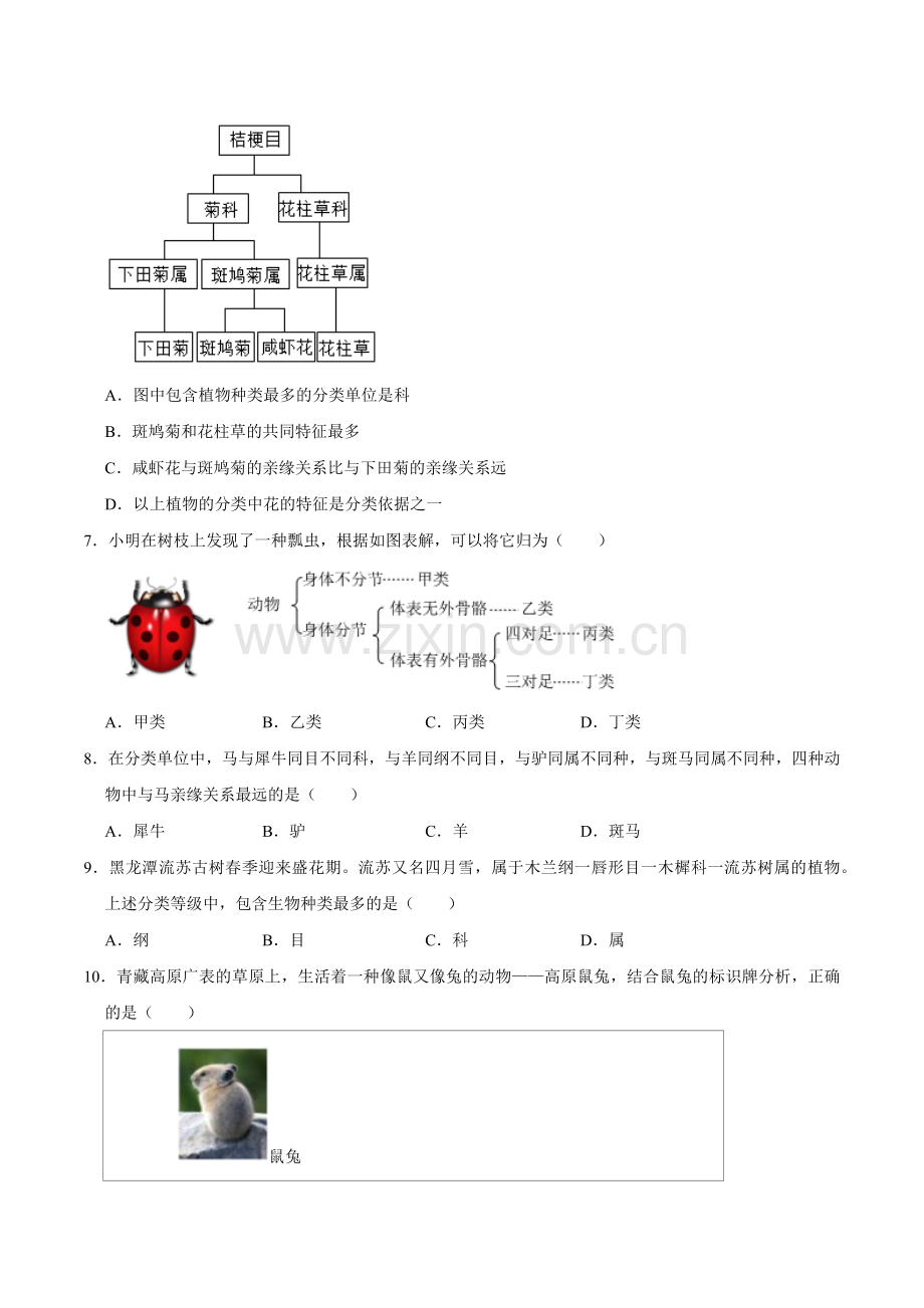 第四章--生物分类的方法【A卷-提升卷】原版卷-2024-2025学年山西专用七年级生物练习.pdf_第3页