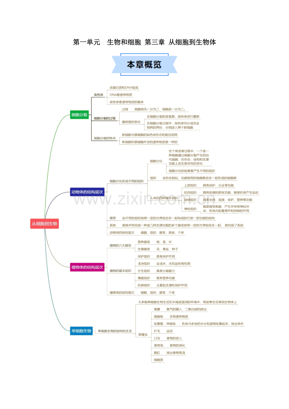 第一单元第三章-从细胞到生物体【速记清单】(原卷版)-2024-2025学年山西专用七年级生物练习.pdf_第1页