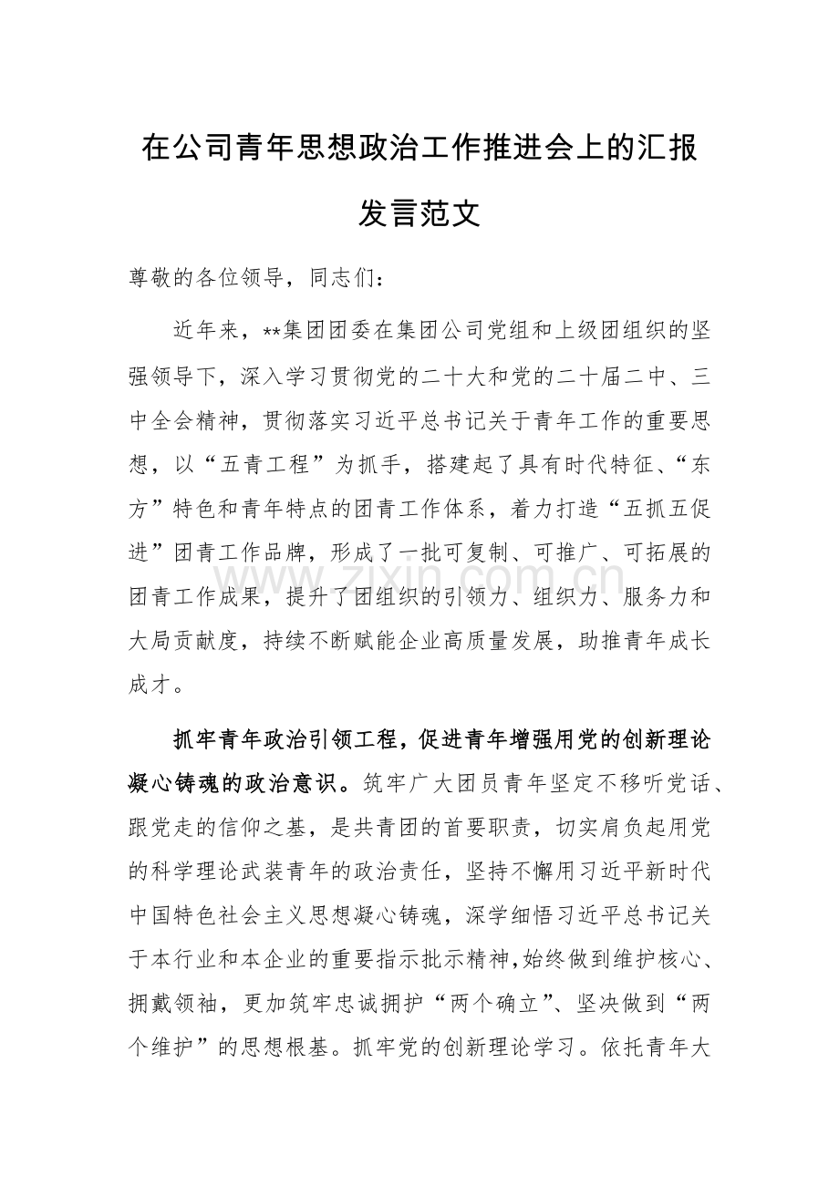 在公司青年思想政治工作推进会上的汇报发言范文.docx_第1页