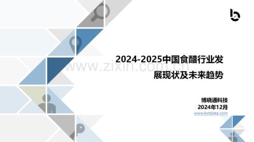 2024-2025中国食醋行业发展现状及未来趋势报告.pdf