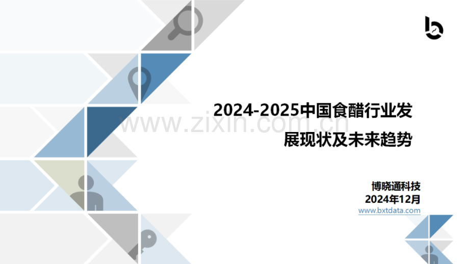 2024-2025中国食醋行业发展现状及未来趋势报告.pdf_第1页