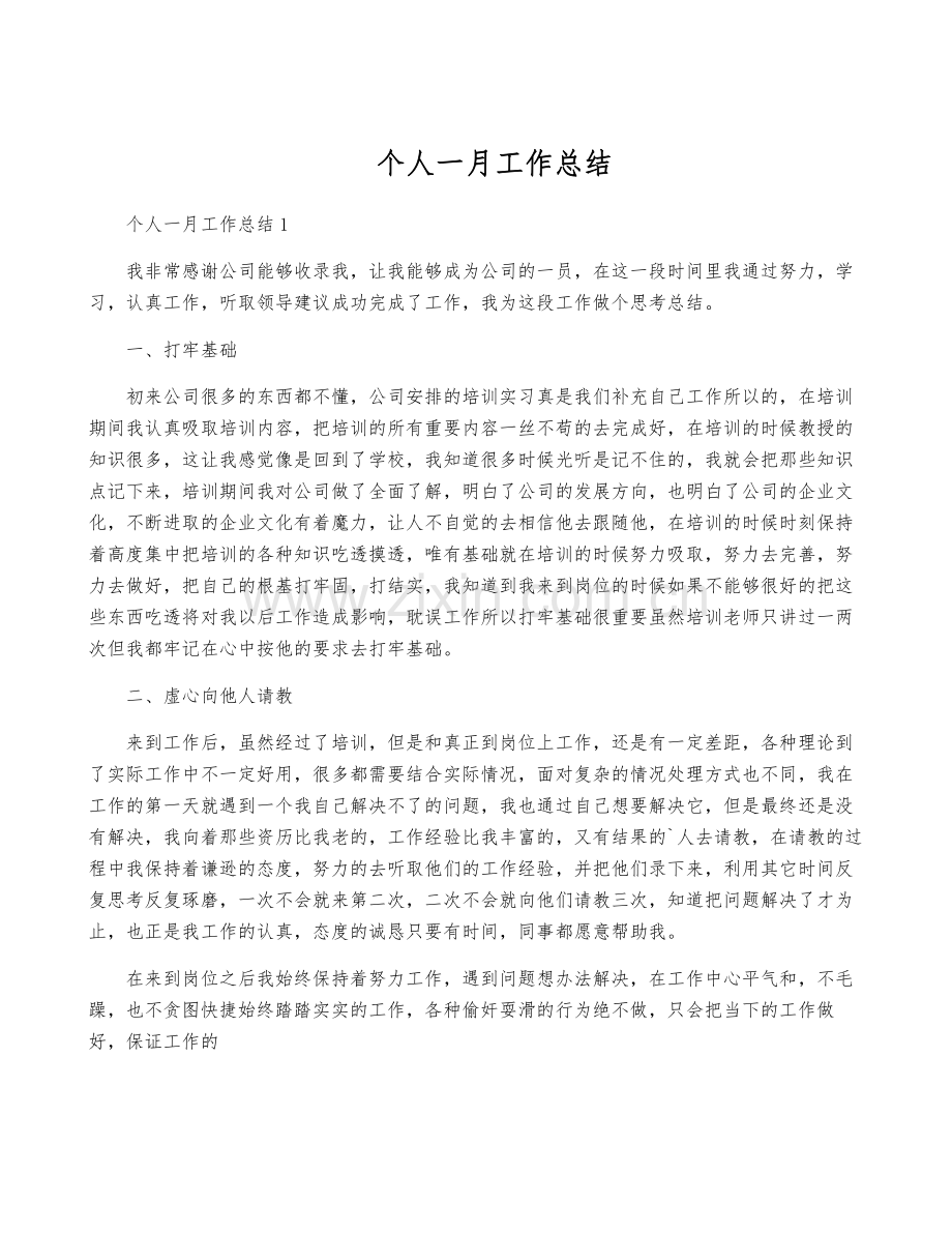 个人一月工作总结.pdf_第1页