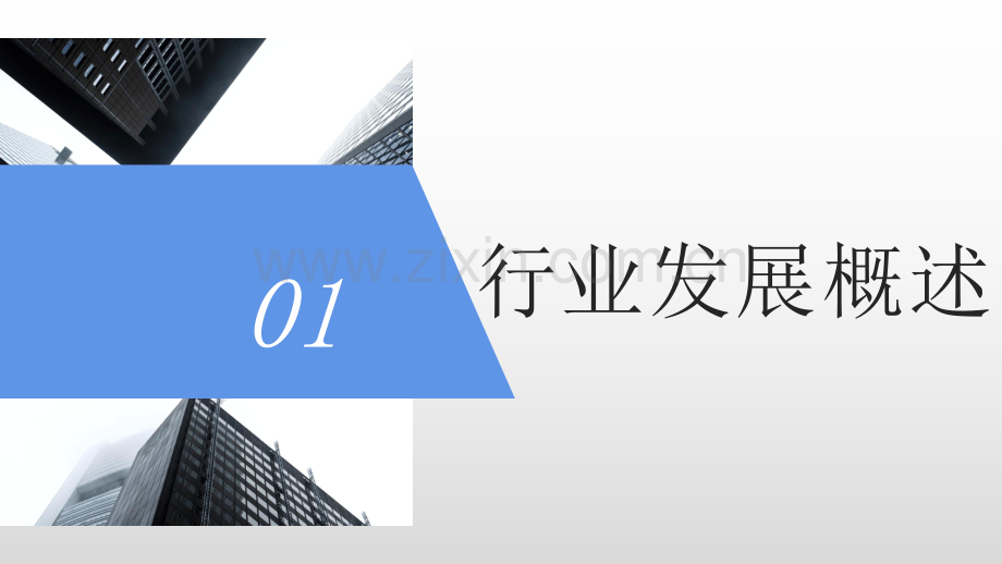 2022-2023有机硅行业市场分析与趋势分析报告.pdf_第3页