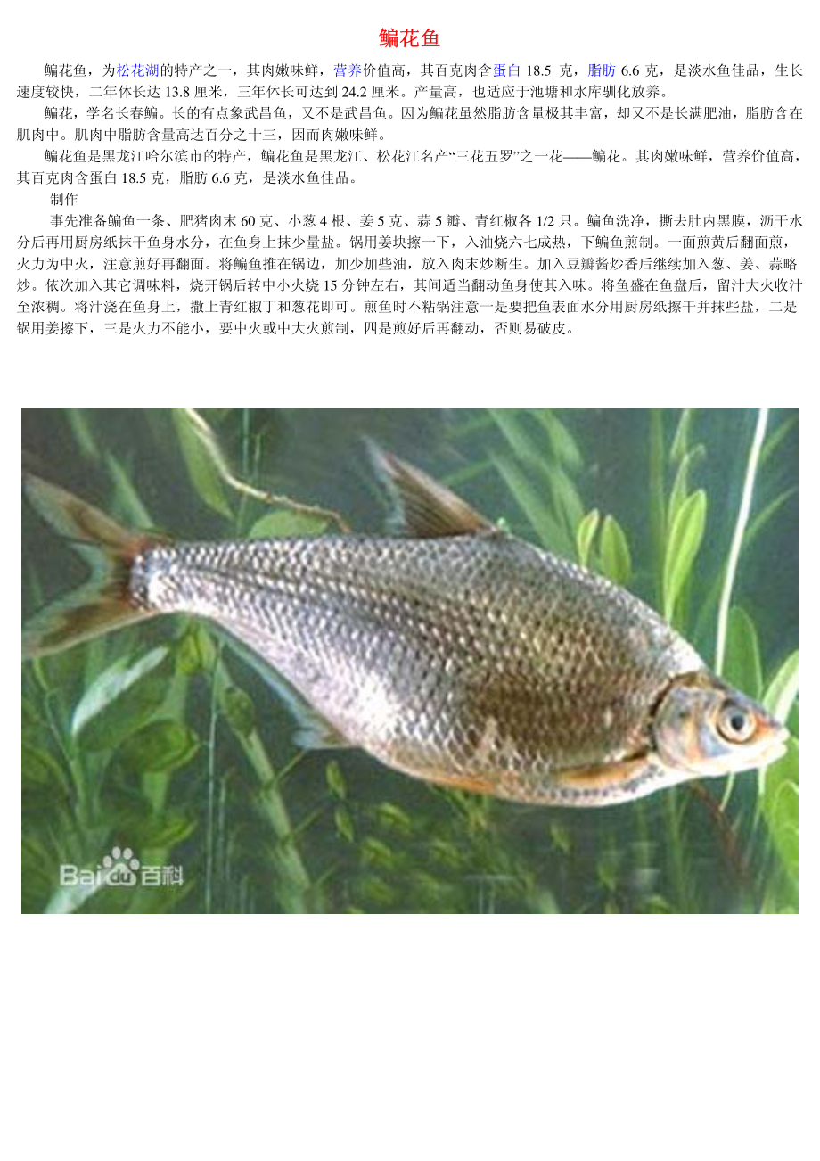 鳊花鱼及图片.pdf_第1页