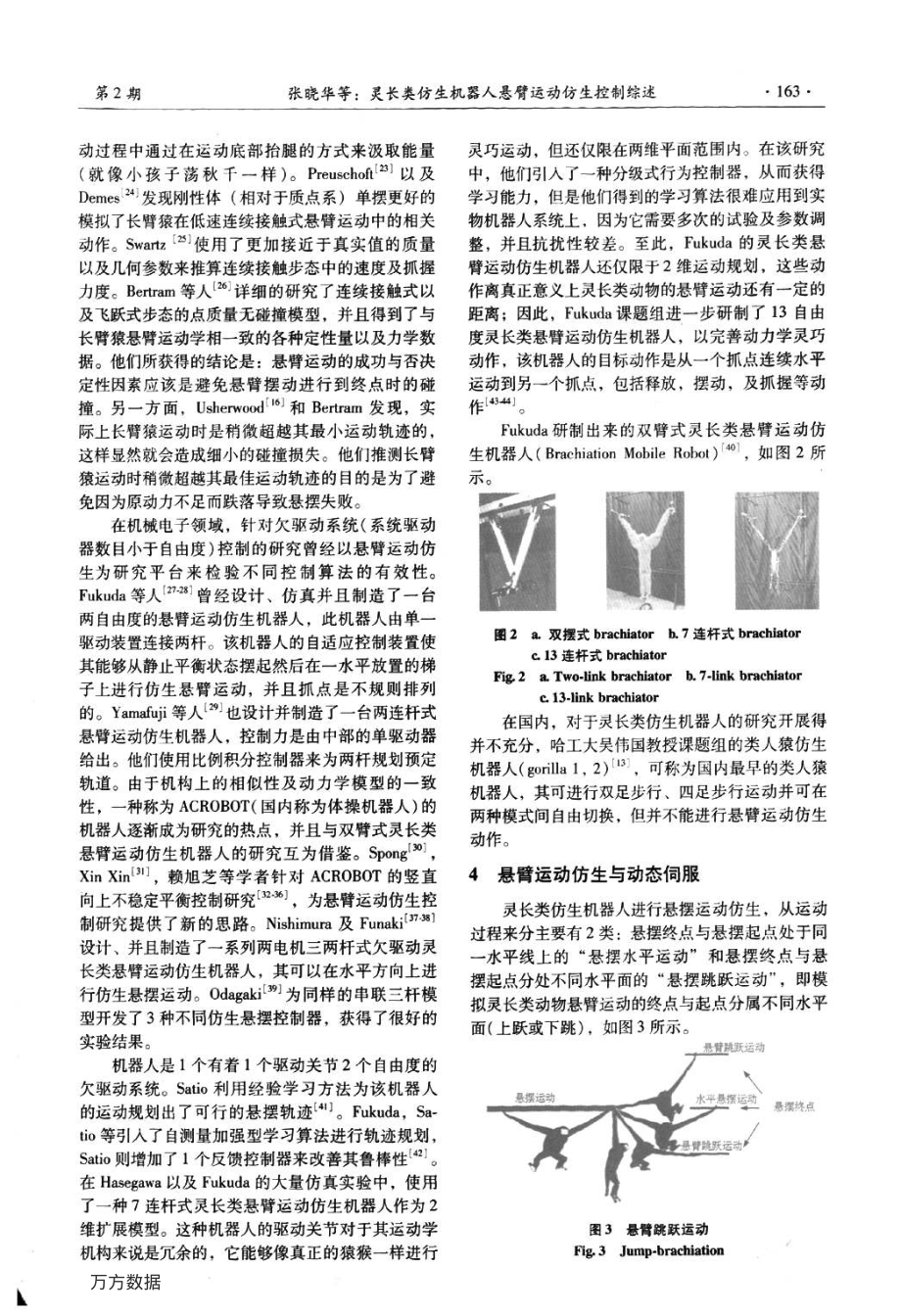 灵长类仿生机器人悬臂运动仿生控制综述.pdf_第3页