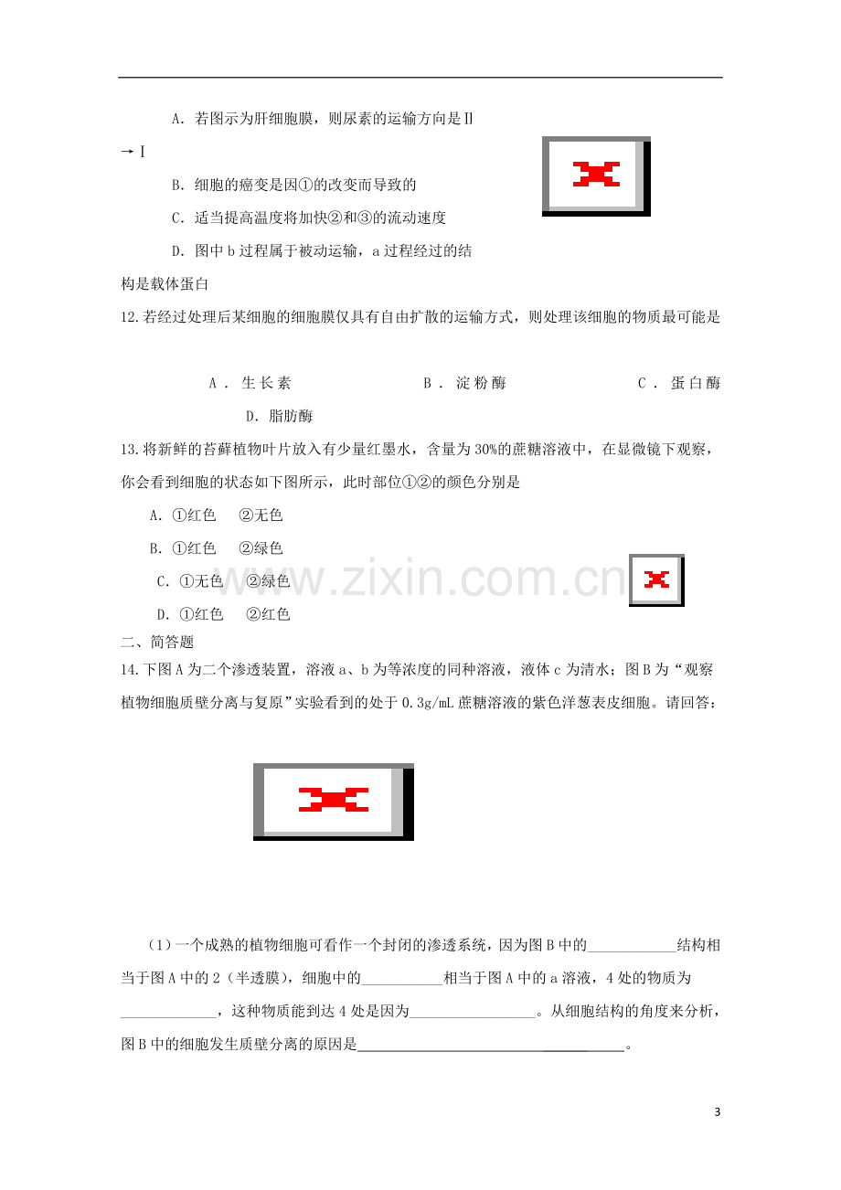 高中生物-4.3物质跨膜运输的方式课时训练9-新人教版必修1.doc_第3页