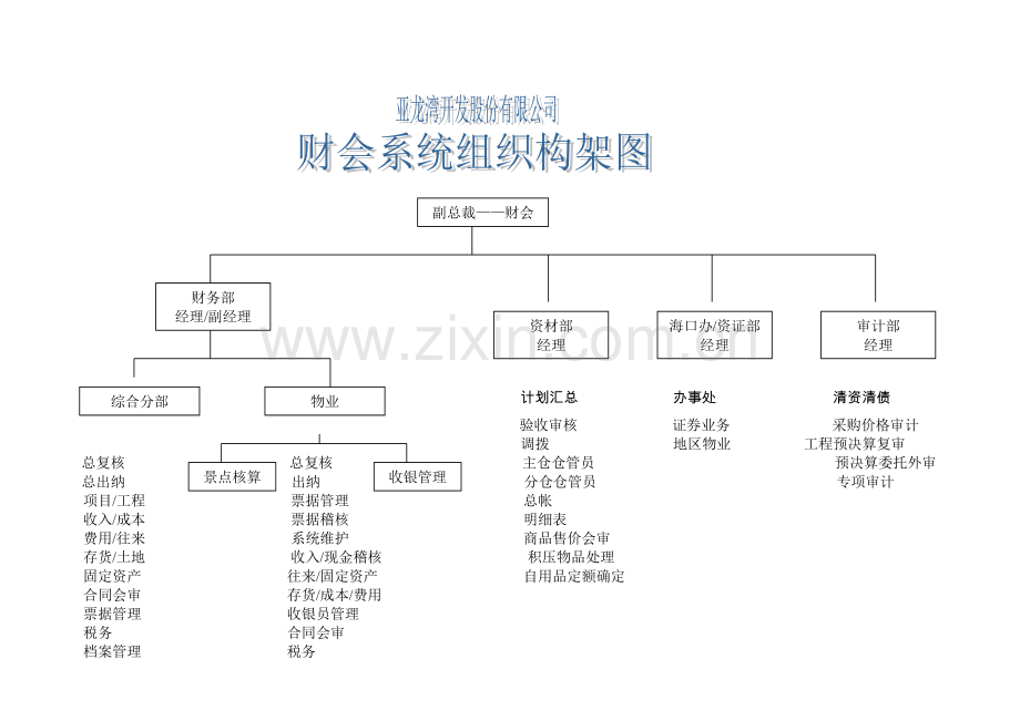 某公司财务会计系统组织架构及岗位职责.docx_第1页