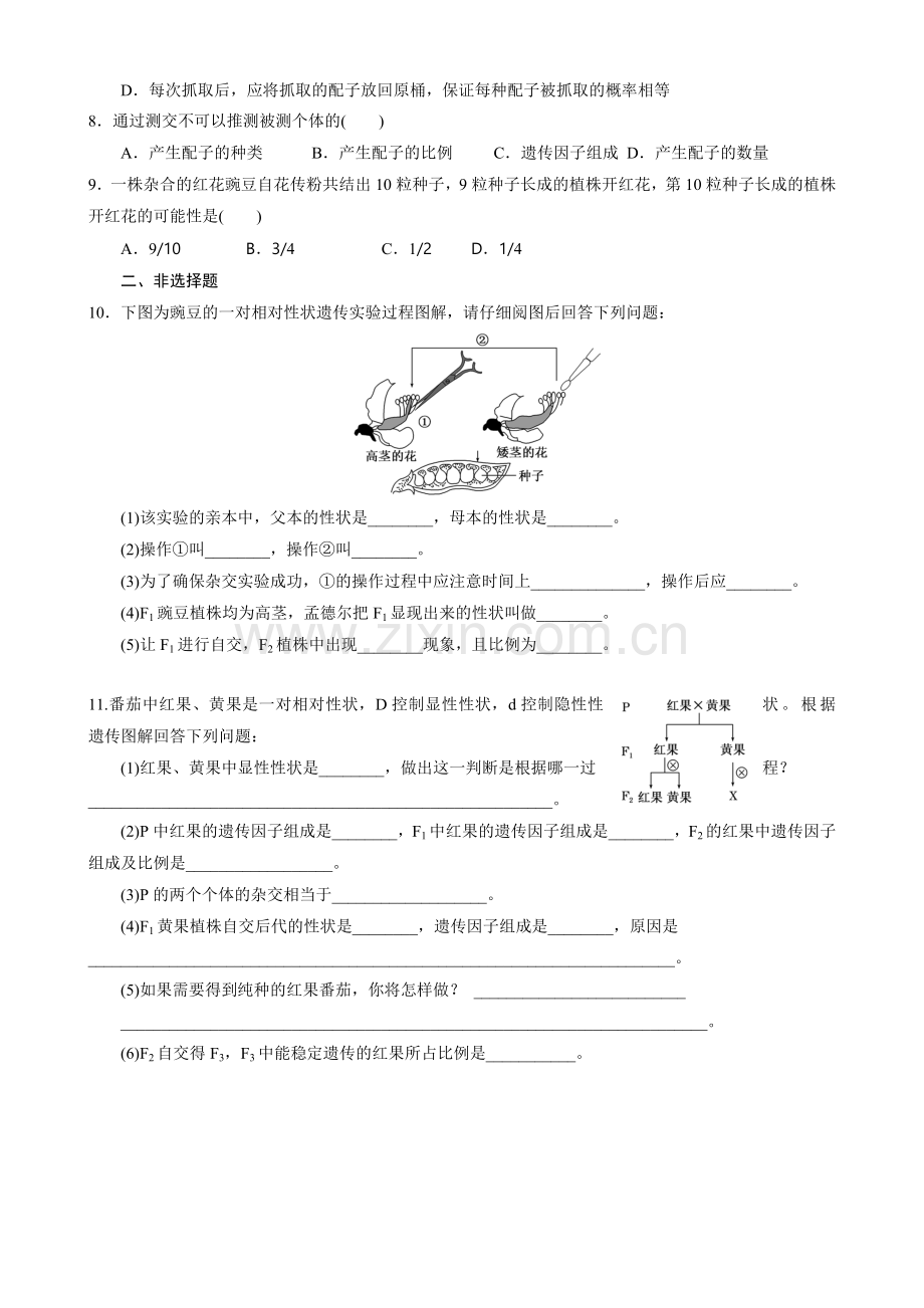 课时跟踪检测（一）孟德尔的豌豆杂交实验（一）A(T&Key).doc_第2页