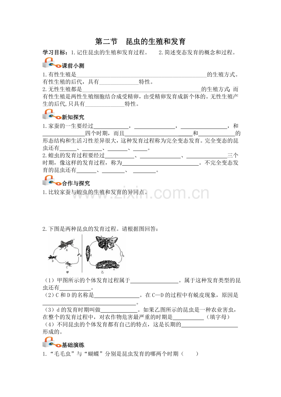 人教版八年级生物下册导学案：712昆虫的生殖和发育（无答案）.doc_第1页