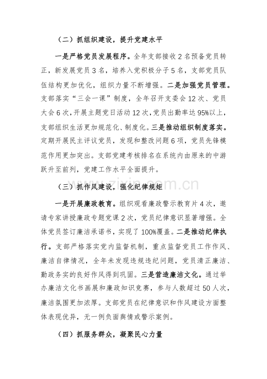 2024年党支部党建工作总结范文.docx_第2页