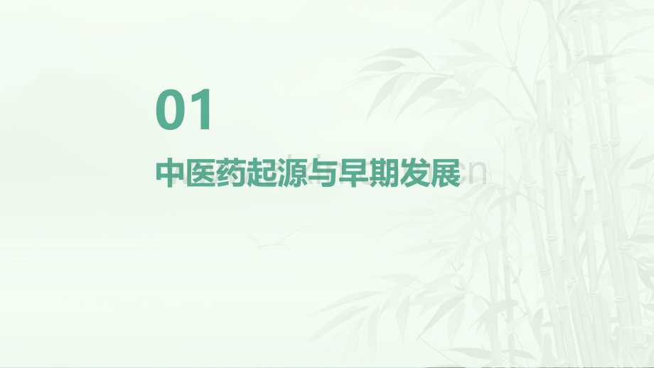 中医药发展史(精)医学.pdf_第3页