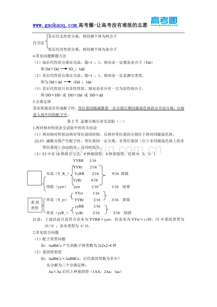 高中生物必修2遗传与进化知识点汇编.doc_第2页