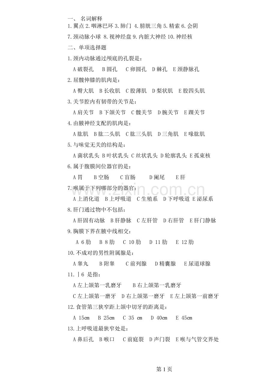 解剖复习题1.doc_第1页