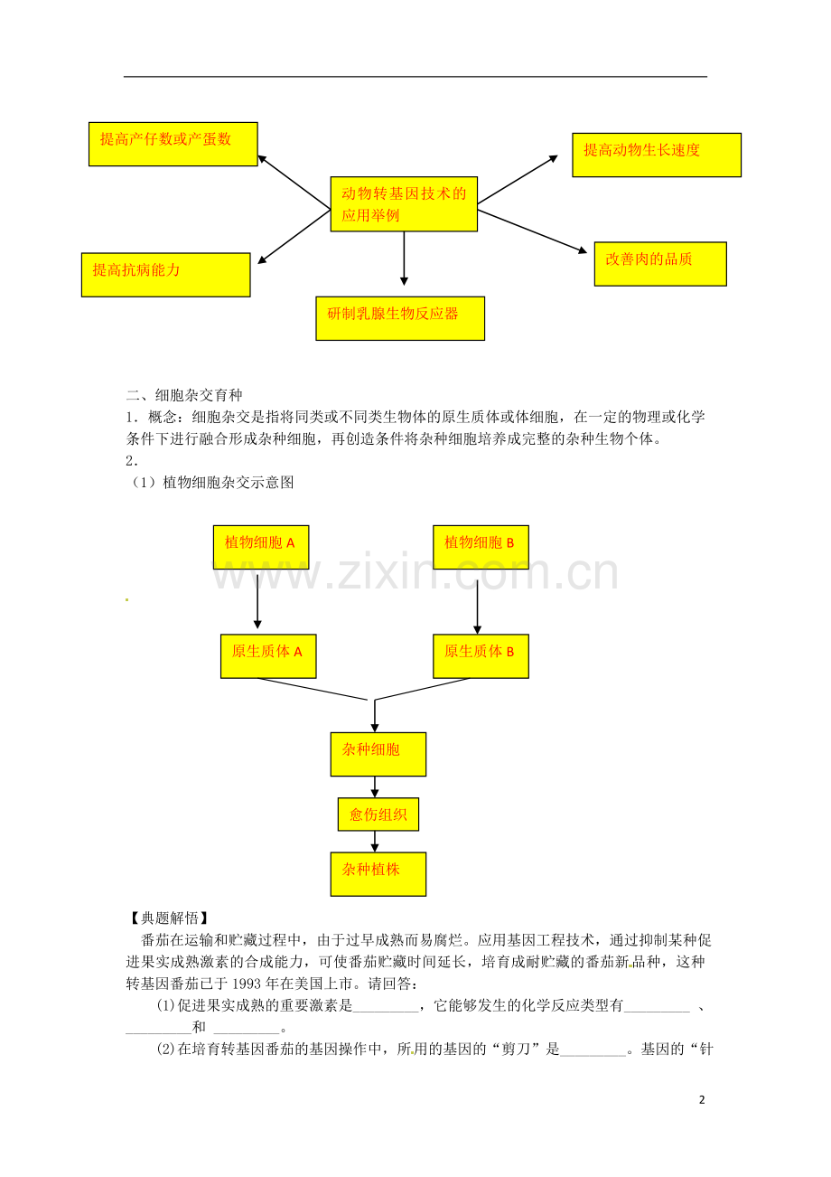 高中生物-2.2《现代生物技术在育种上的应用》学案-新人教版选修2.doc_第2页