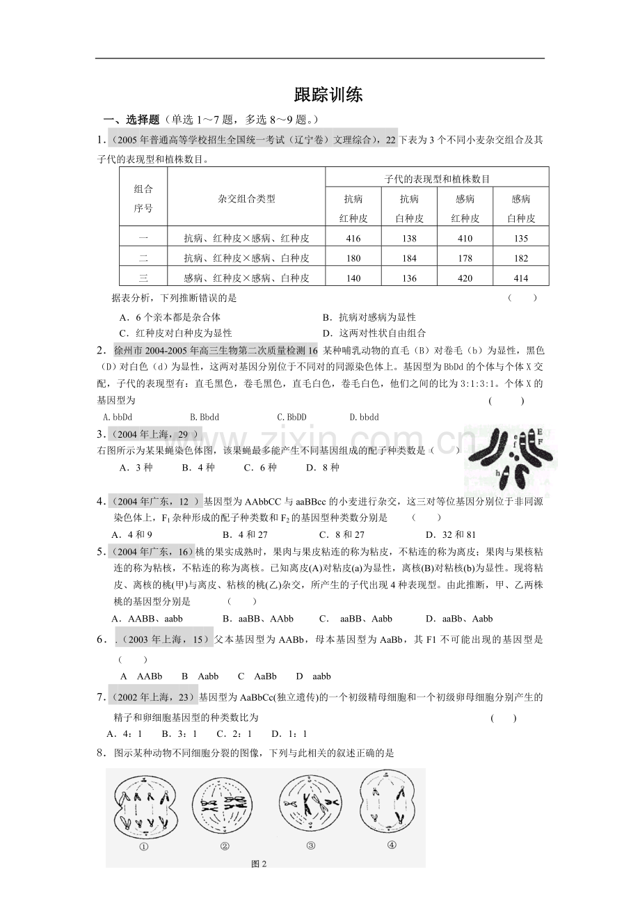 高中生物基因的自由组合定律练习.doc_第2页