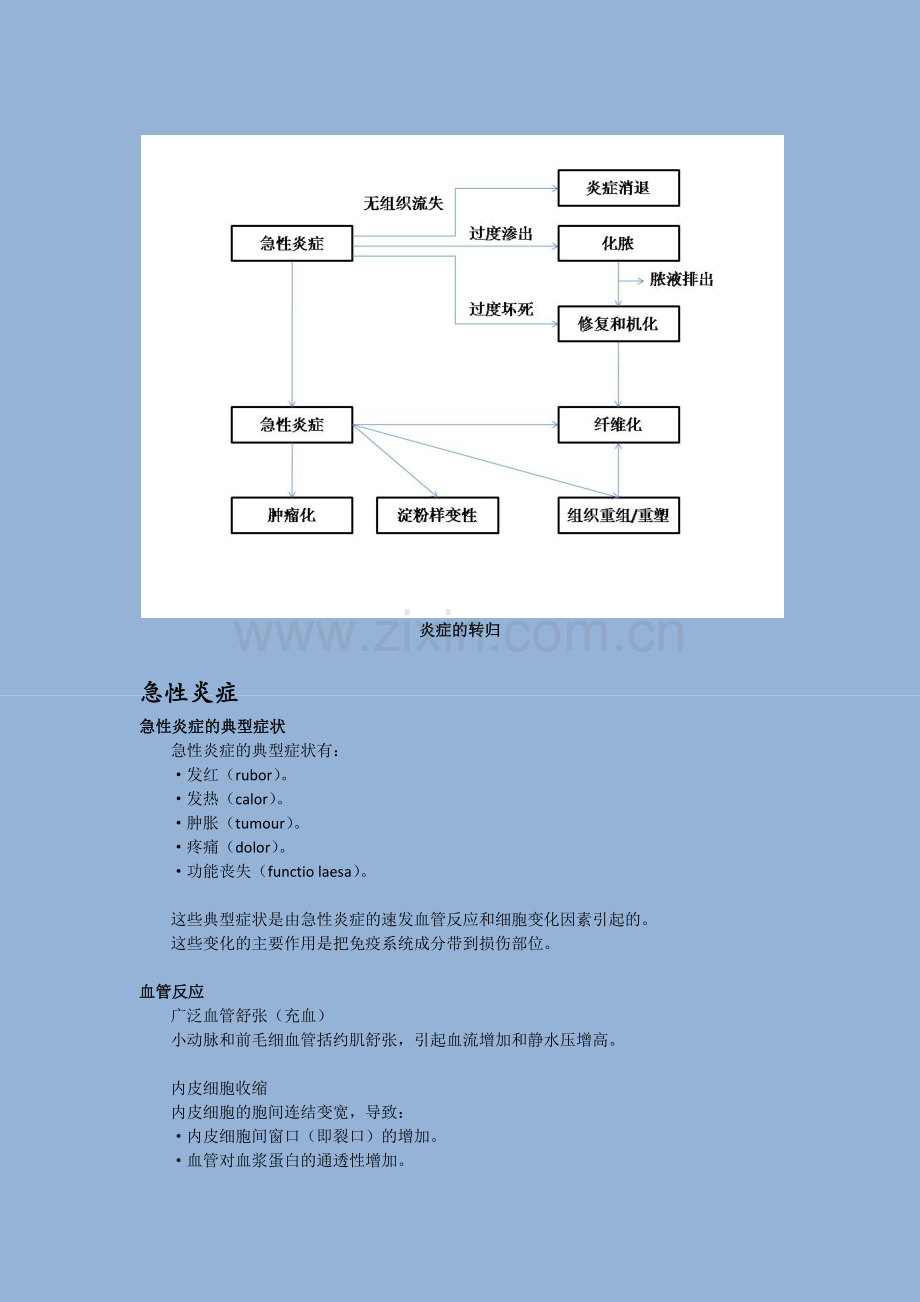 病理学 第三章.docx_第2页