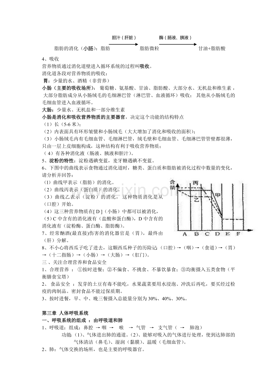 七年级生物下册复习资料(自创).doc_第3页