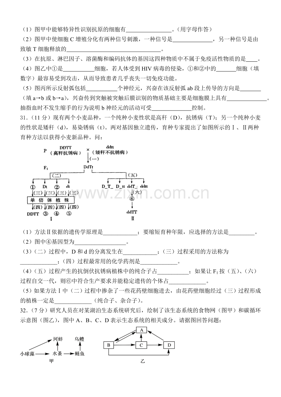 理科综合生物部分.doc_第3页