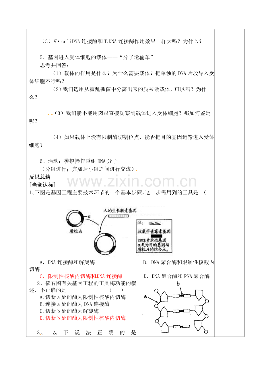 山东省泰安市肥城市第三中学高中生物11DNA重组技术的基本工具学案新人教版选修3.doc_第3页