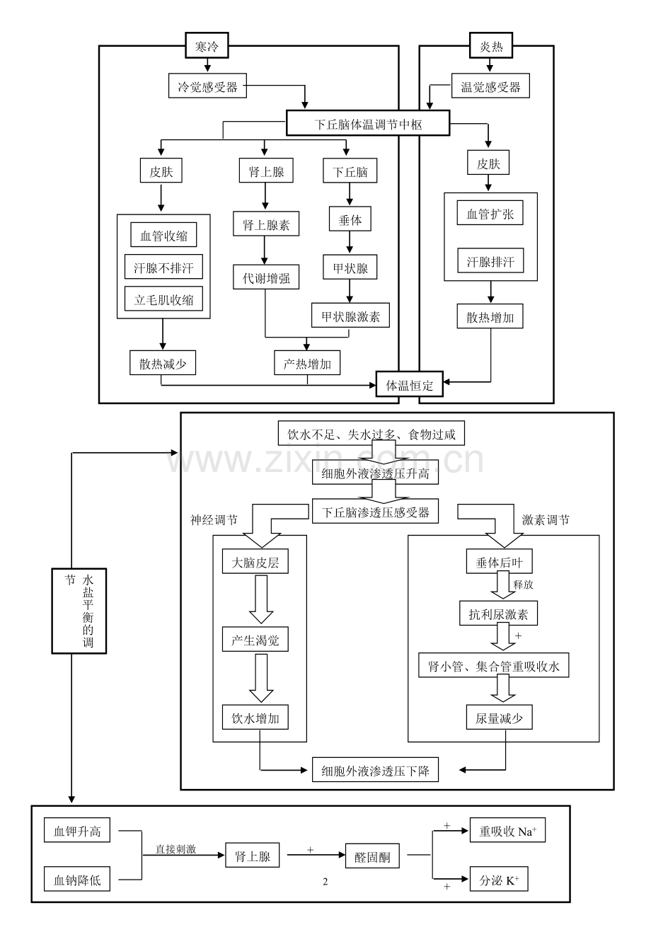 生物必修三第二章.doc_第2页