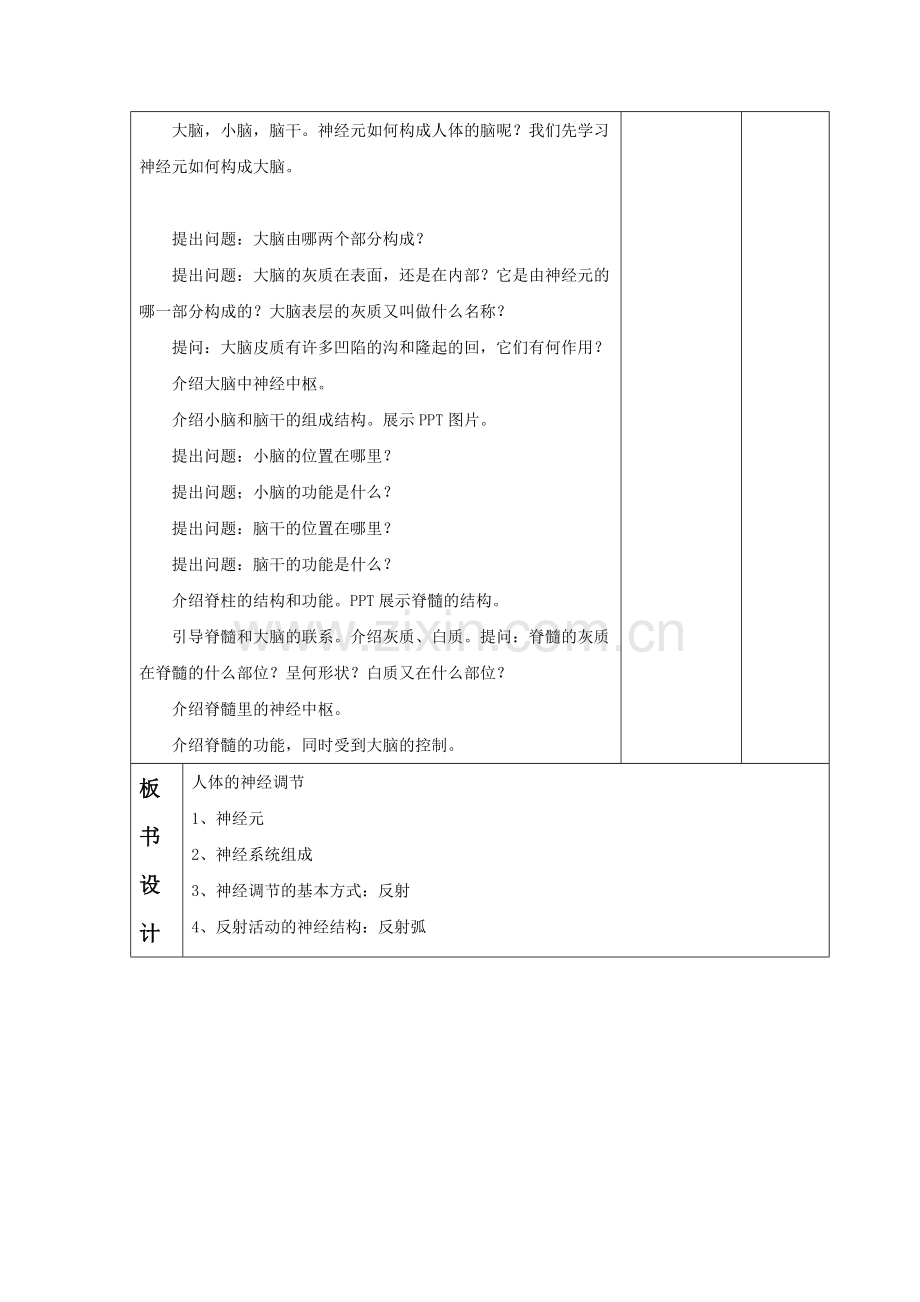 《第1节-人体的神经调节》教案3.doc_第3页