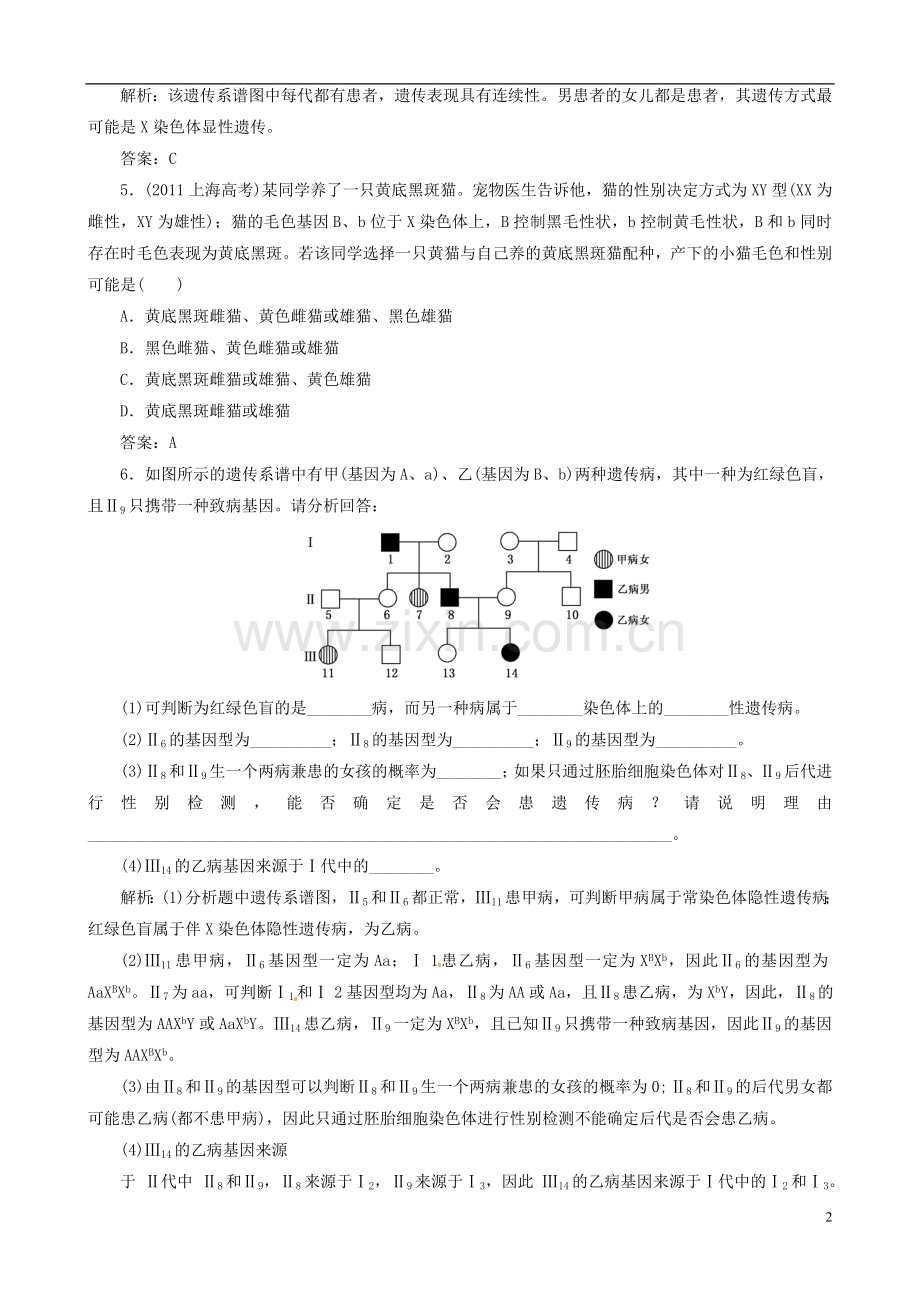 【优化指导】高中生物 2-3 伴性遗传课时演练 新人教版必修2.doc_第2页