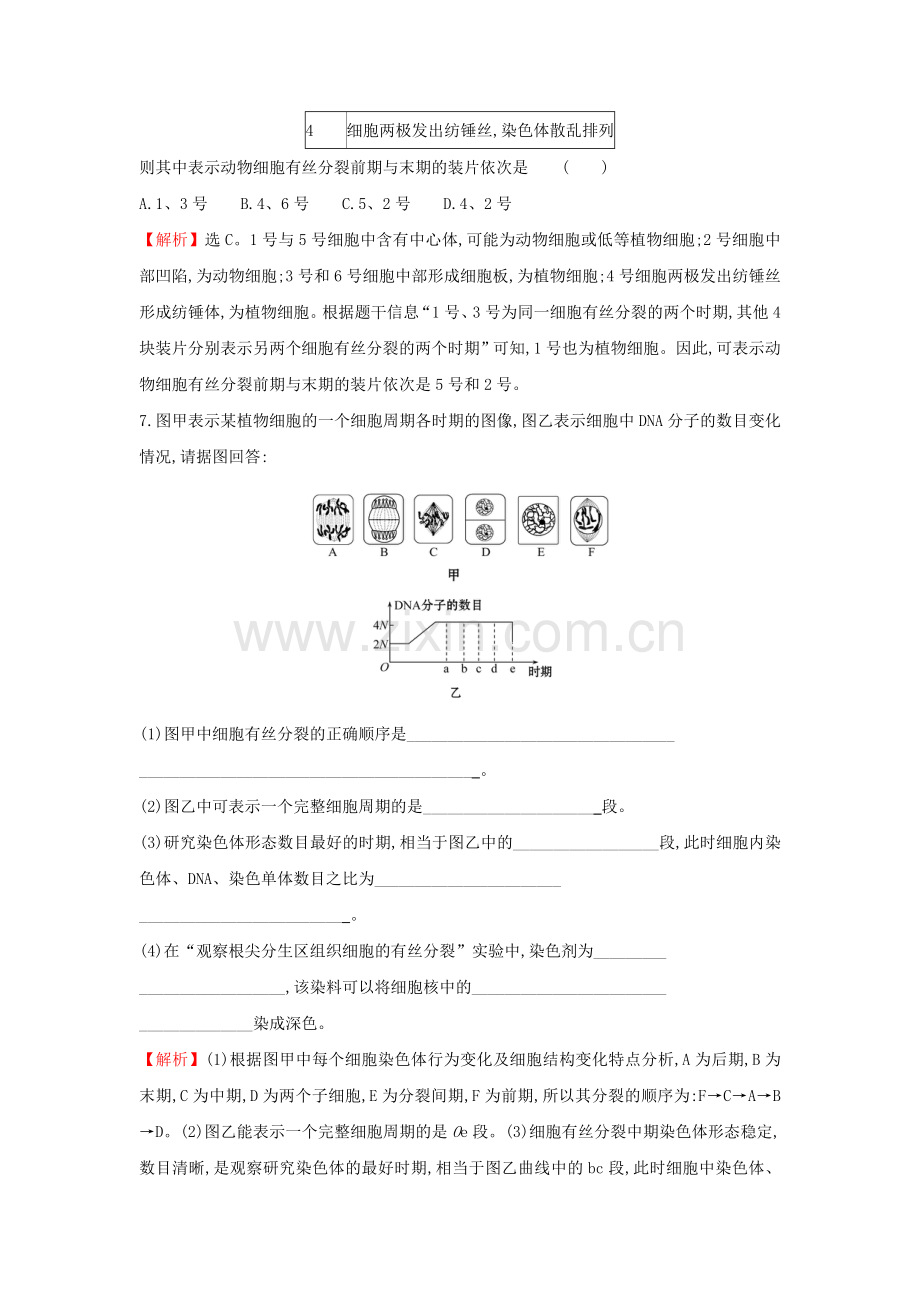 2020版新教材高中生物课堂检测素养达标61细胞的增殖612（含解析）新人教版必修1.doc_第3页