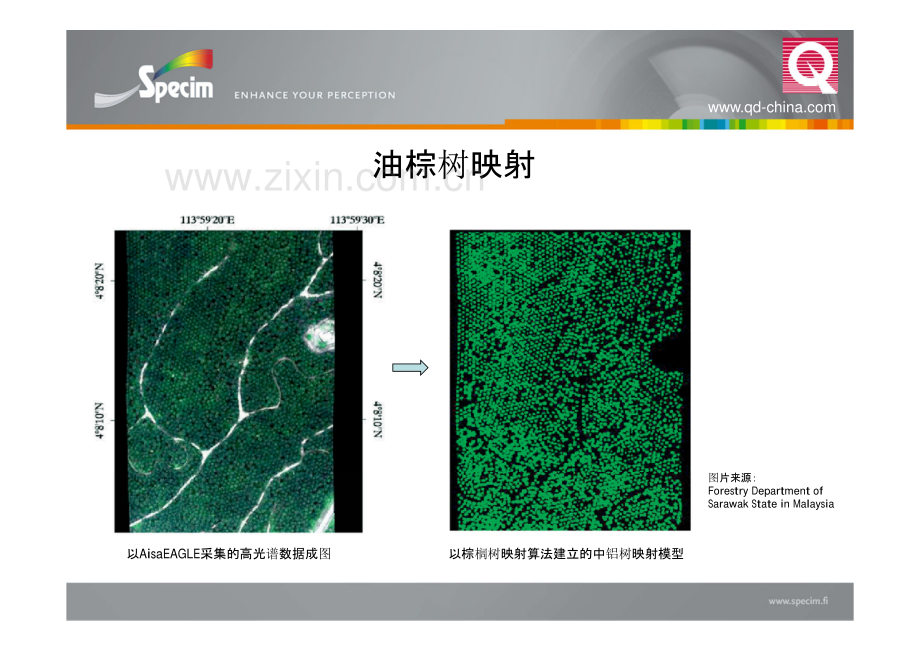 AISA机载高光谱系统——应用案例9-棕榈树病情监测_3页.pdf_第2页