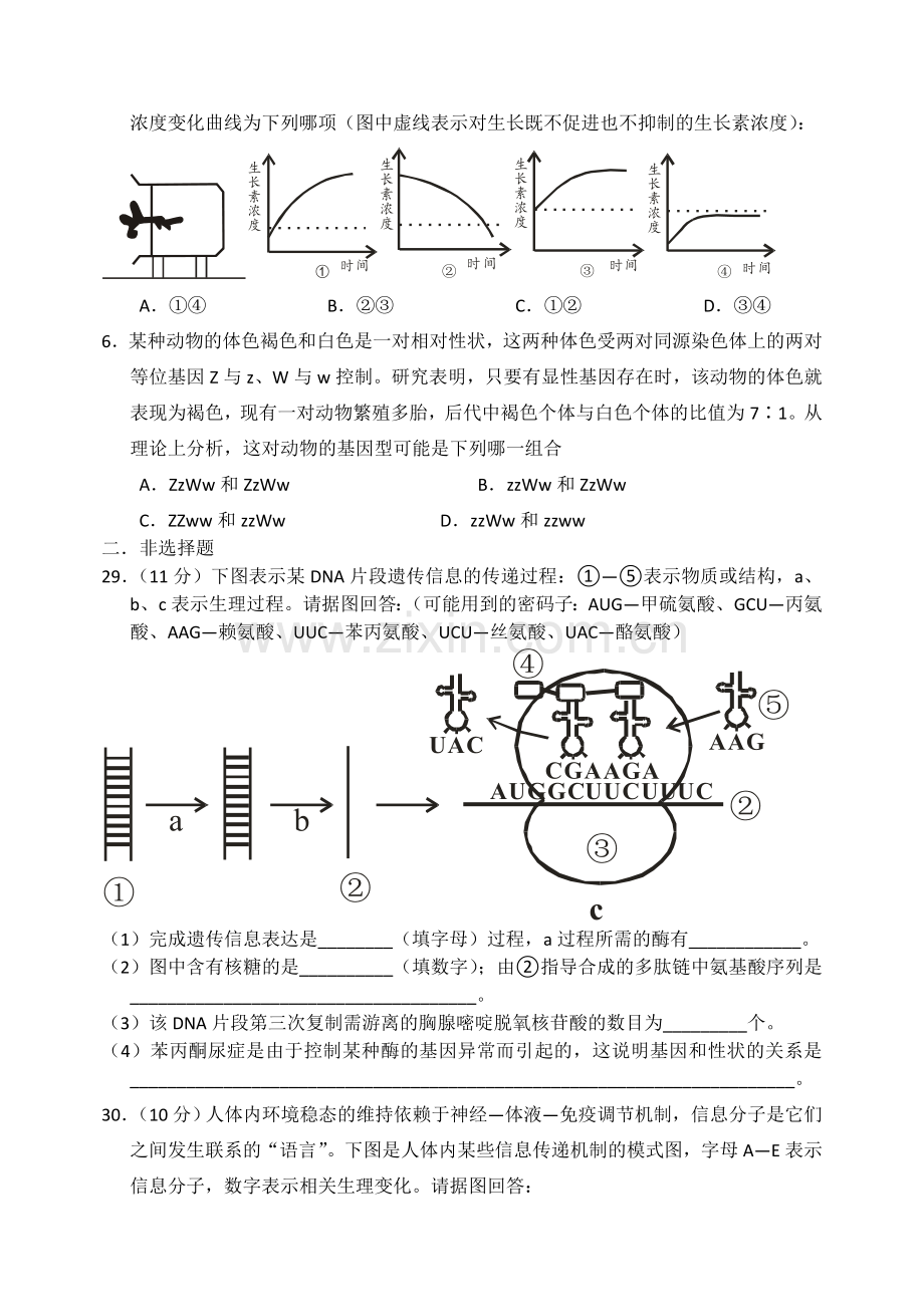 齐齐哈尔市2010届高三第三次模拟试卷(生物部分).doc_第2页