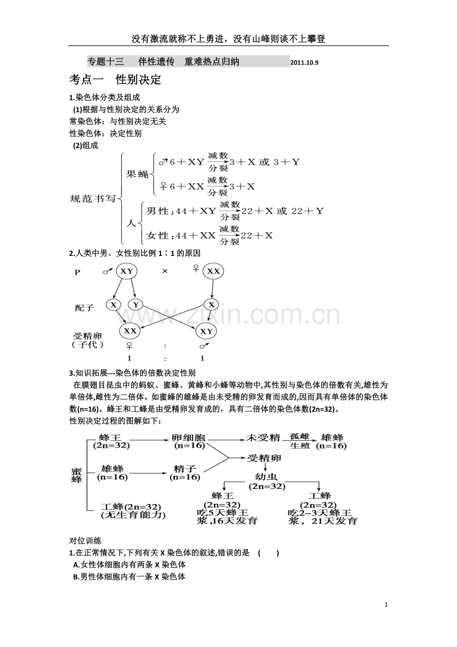 专题13伴性遗传考点.doc_第1页