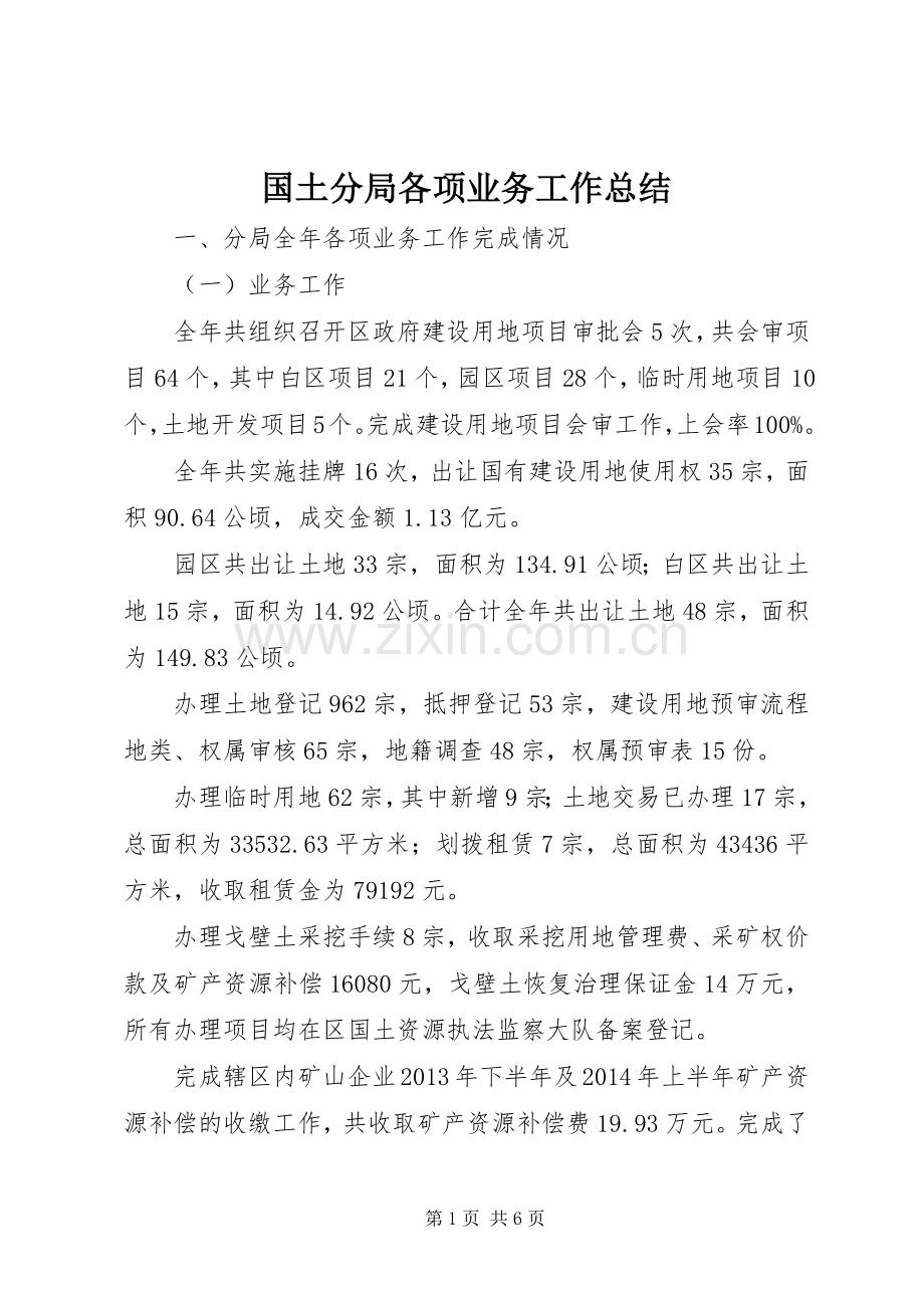 国土分局各项业务工作总结_1.docx_第1页