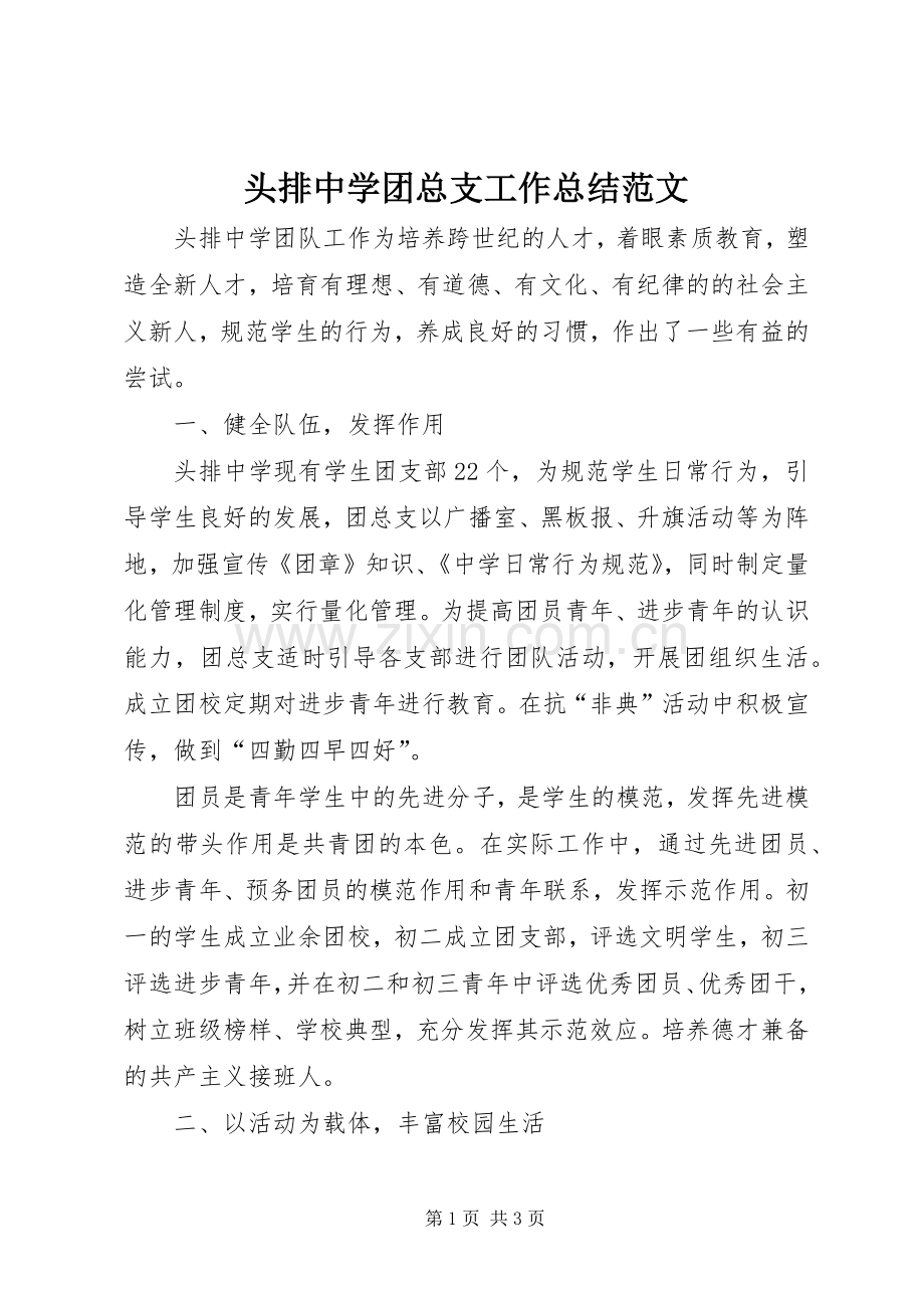 头排中学团总支工作总结范文.docx_第1页