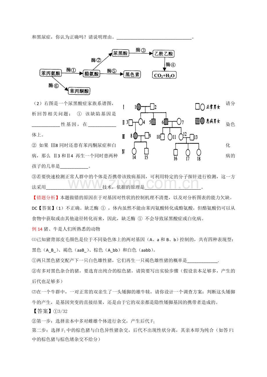 高考遗传病典型例题.doc_第3页