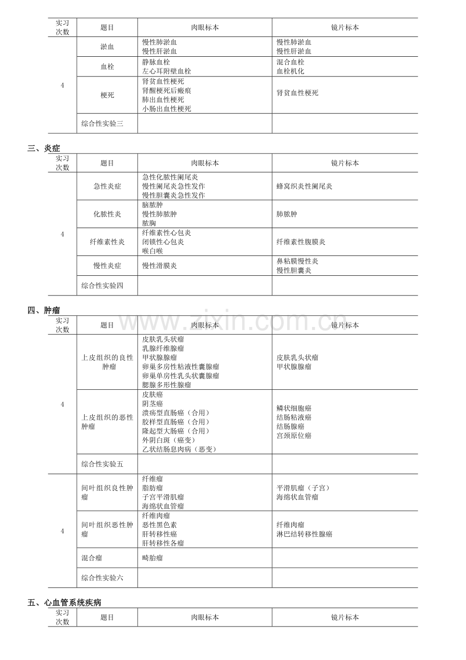 《临床本科病理学》实验教学大纲.doc_第2页