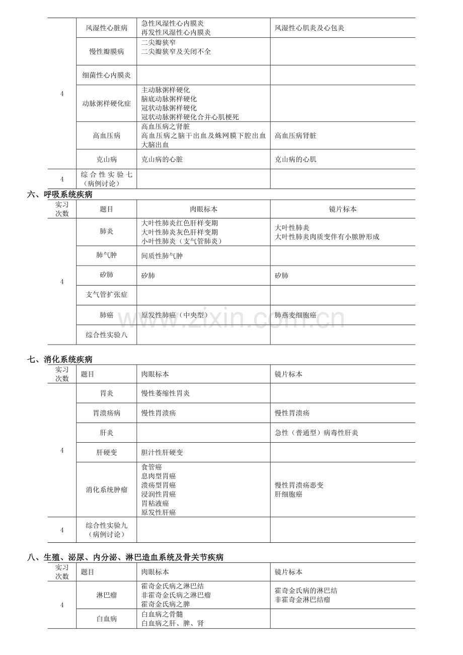 《临床本科病理学》实验教学大纲.doc_第3页