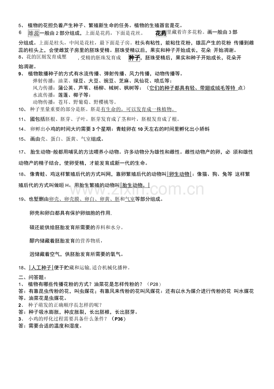 小学科学四年级下册--复习资料(已整理).docx_第3页