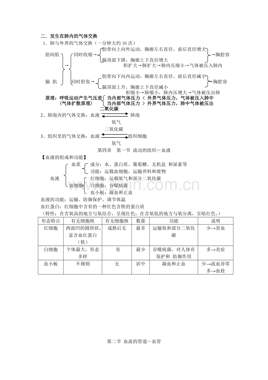 七下生物复习资料.doc_第3页